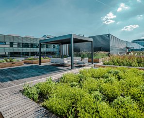 A green roof terrace of Budova B