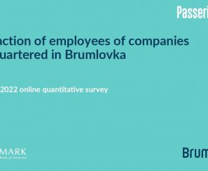 Brumlovka Survey