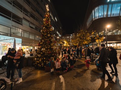Lighting of the Christmas Tree at Brumlovka Square - November, 23