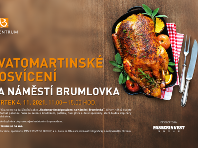 Food Festival at the Brumlovka Square - November, 4