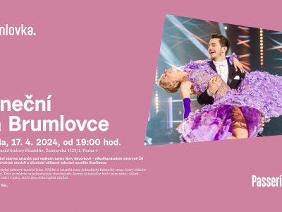 Dance lessons at Brumlovka "Mambo" - April, 17